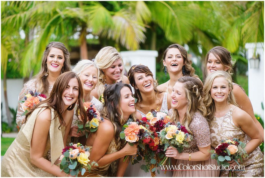 Bride and bridesmaids group photo